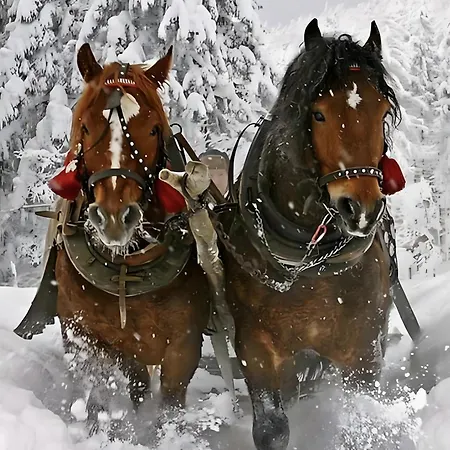 Landlhof Dom wakacyjny Ramsau am Dachstein