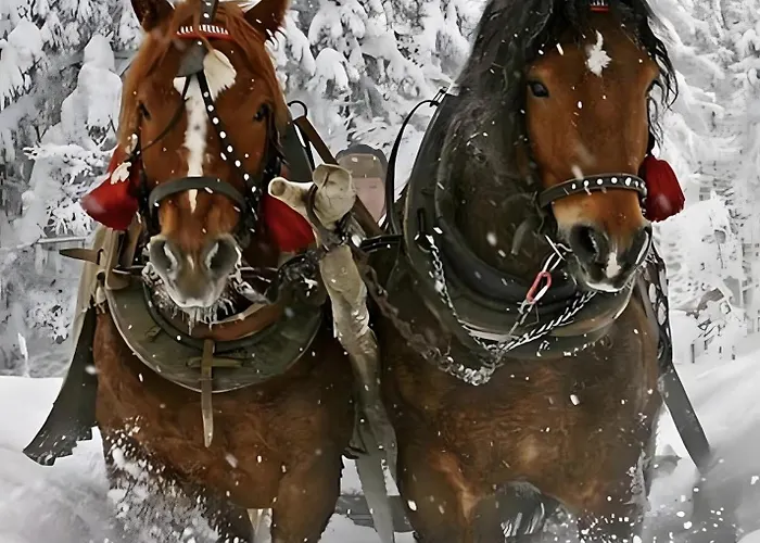 Landlhof Дом отдыха Рамзау